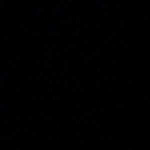 Meet your Posher, Dayan